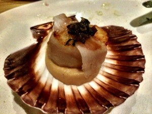 Scallop